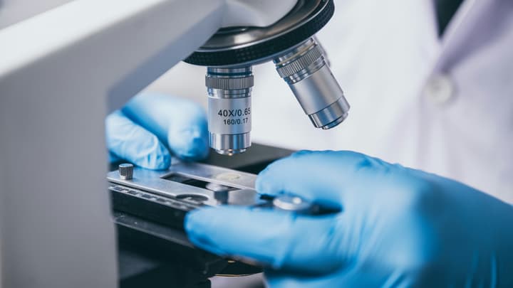 Badanie histopatologiczne