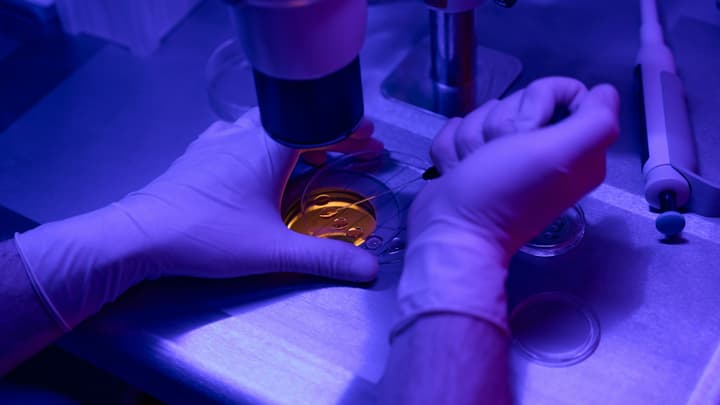 Biopsja gruboigłowa