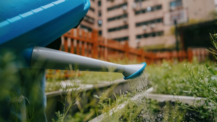 Ubezpieczenie działki ROD