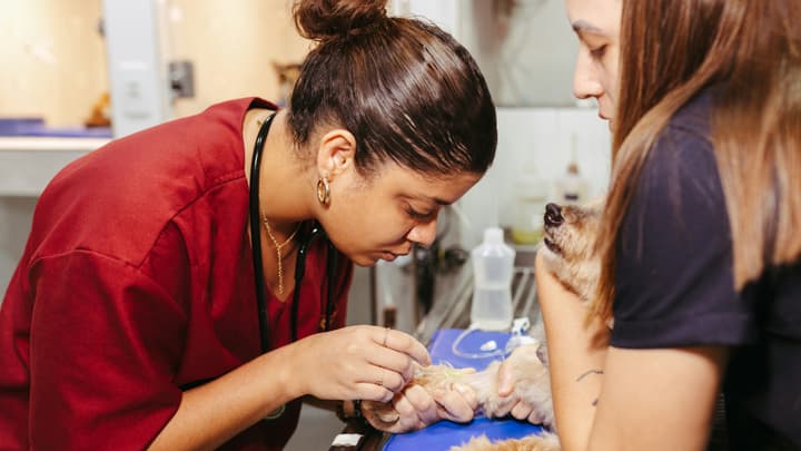 Medycyna pracy dla lekarzy weterynarii - zagrożenia biologiczne