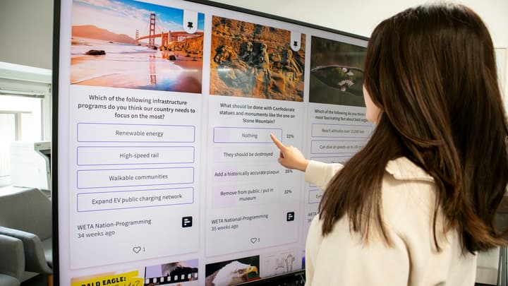 Ubezpieczenie OC dyrektora kampanii multimedialnych