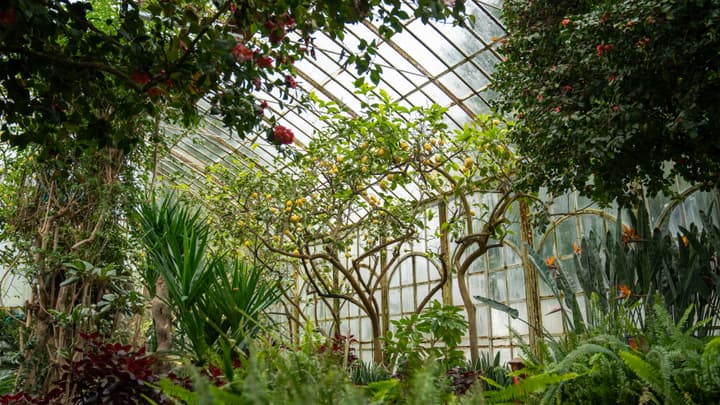 Ubezpieczenie OC projektanta ogrodów botanicznych