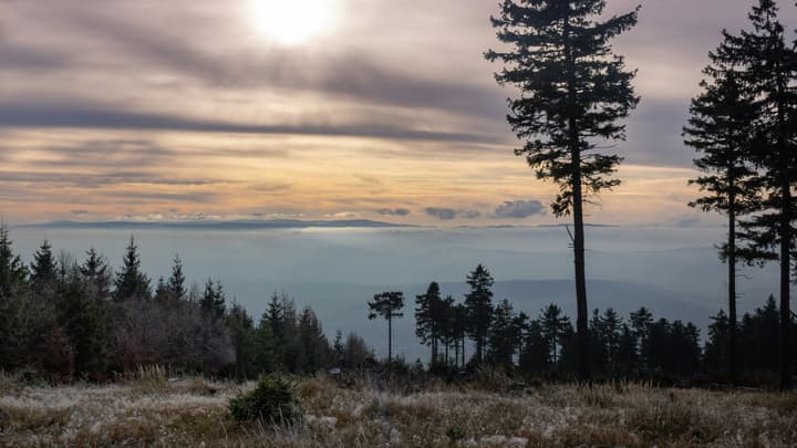 Góry Świętokrzyskie - co warto zobaczyć? Przewodnik dla turystów