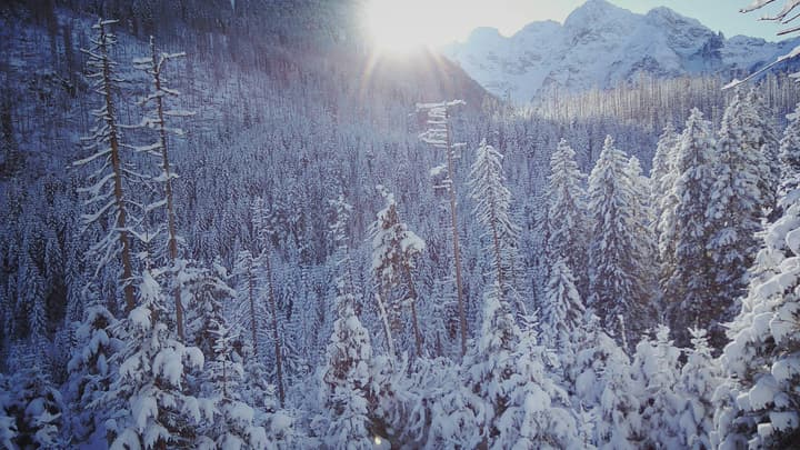 Bukowina Tatrzańska