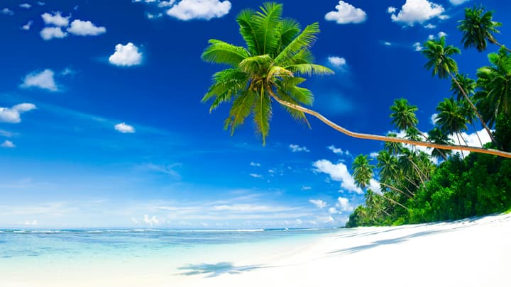 Wysypy Morza Karaibskiego