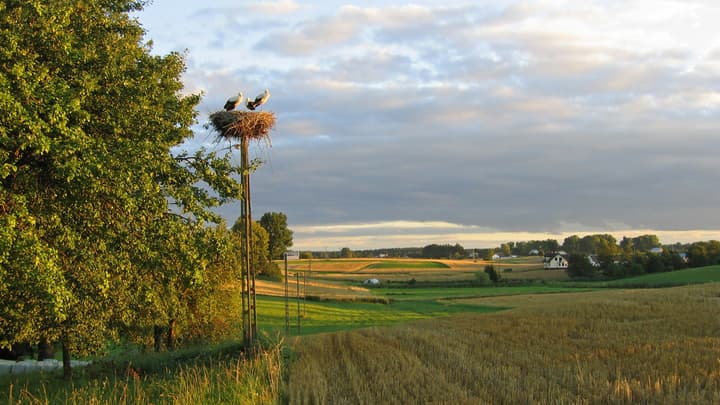 Roztocze - co trzeba o nim wiedzieć?
