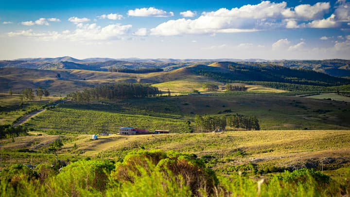 Ubezpieczenie do Urugwaju