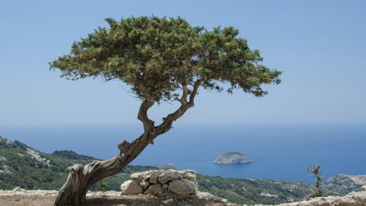 Ubezpieczenie na Rodos