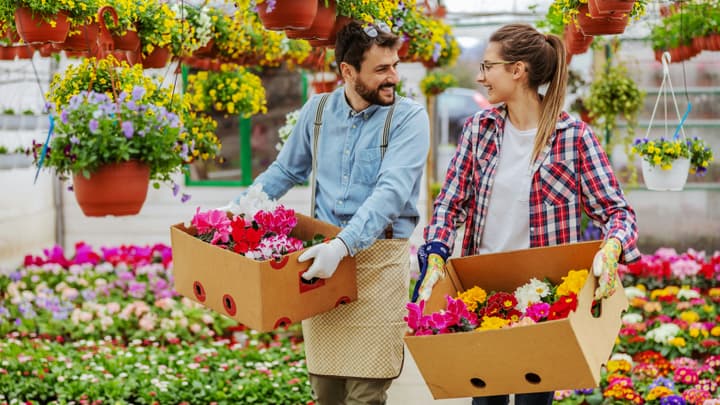 Praca sezonowa za granicą 2025 – jakie ubezpieczenie wybrać?
