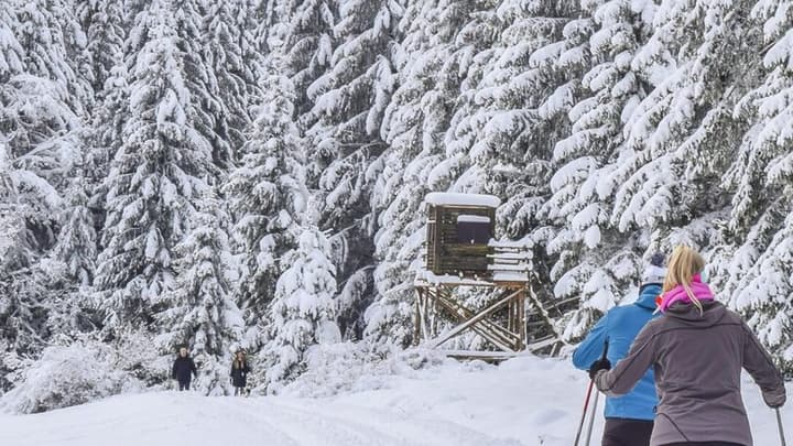 Ubezpieczenie na narty do Słowenii