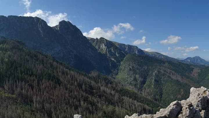 Jakie ubezpieczenie w Tatry Polskie? Co wybrać w góry w Polsce?