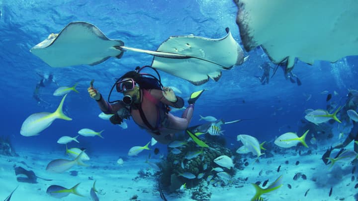 Ubezpieczenie nurkowe - ile kosztuje? Czy można ubezpieczyć się przed nurkowaniem?